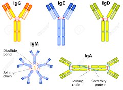 immunochemistry